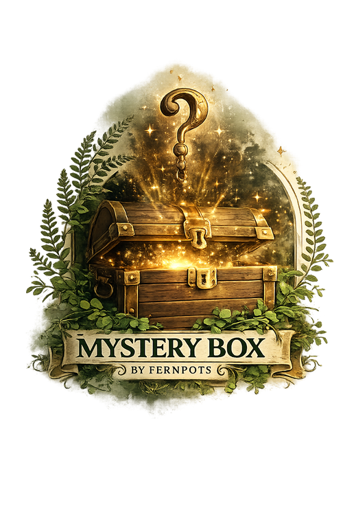 Mystery Box?
